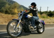 Harley-Davidson XL1200 C Sportster